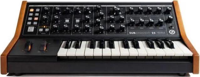 Subsequent 25 / Moog