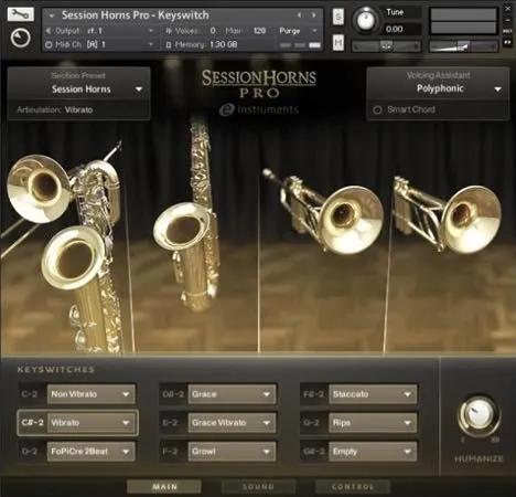 Native Instruments / Session Horns Pro